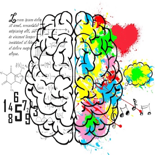 A propos : Neuromusicotricité